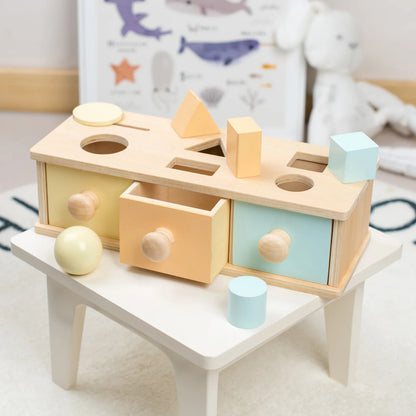 Wooden Educational Box Toy